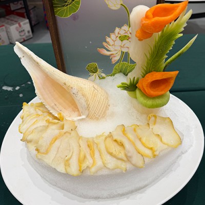 Application scope of the 200-kilogram pure snowflake ice-making machine