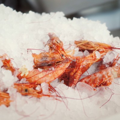 Ice-Temperature Preservation: The 