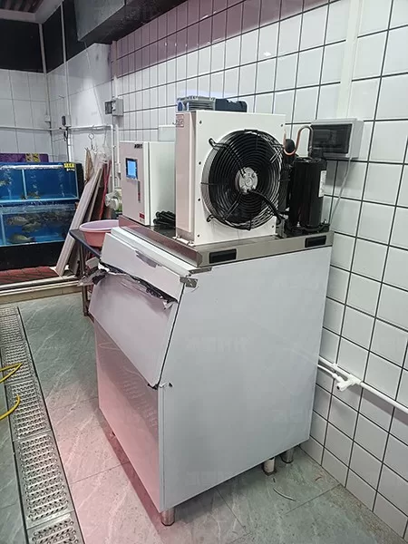 400 kilograms of block ice machine cold chain transportation case