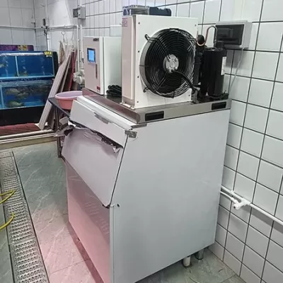 400 kilograms of block ice machine cold chain transportation case