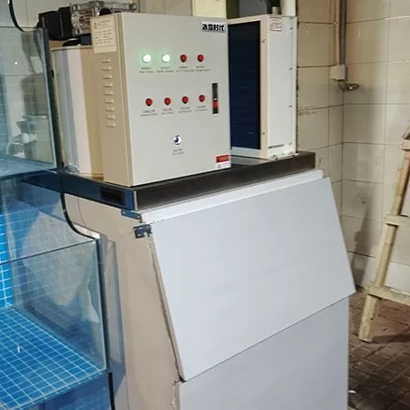Application scenarios of the 200-kilogram block ice machine in restaurants