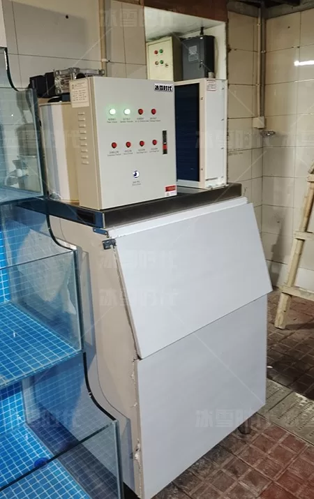 Application scenarios of the 200-kilogram block ice machine in restaurants