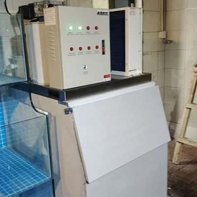 Application scenarios of the 200-kilogram block ice machine in restaurants